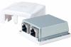 DEXLAN BOITIER MURAL 2 PORTS CAT6
